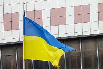 На Украине задержали пытавшихся пронести взрывчатку в полицию