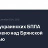 Десять украинских БПЛА уничтожено над Брянской областью