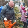 В Новосибирске высадили около 12 тысяч деревьев, кустарников и цветов