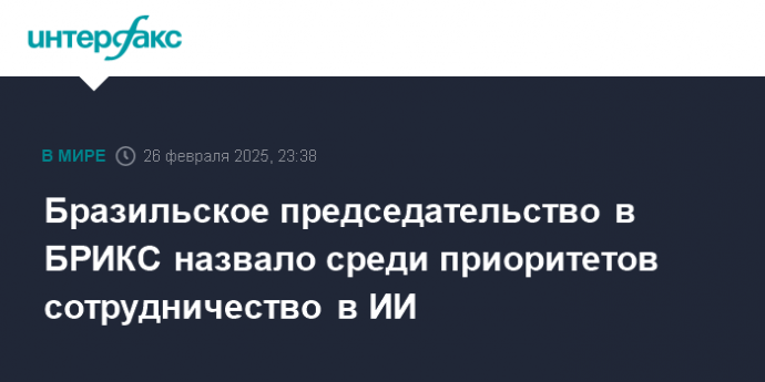 Бразильское председательство в БРИКС назвало среди приоритетов сотрудничество в ИИ