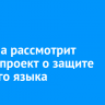 Госдума рассмотрит законопроект о защите русского языка