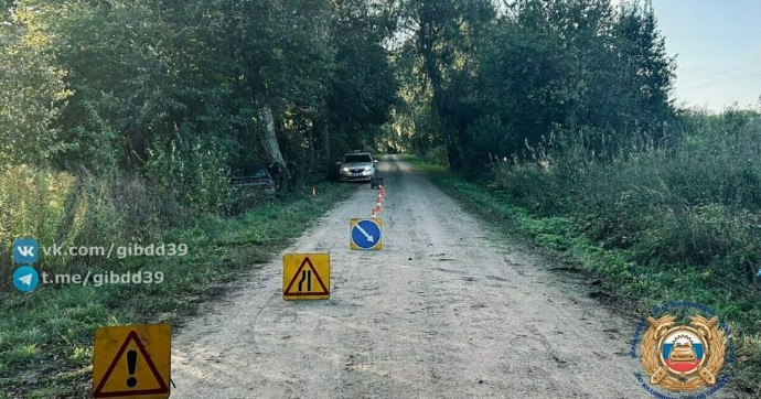 В Багратионовском районе легковушка влетела в дерево, два человека попали в больницу