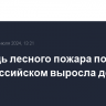 Площадь лесного пожара под Новороссийском выросла до 3 га