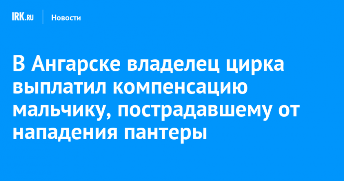 В Ангарске владелец цирка выплатил компенсацию мальчику, пострадавшему от нападения пантеры