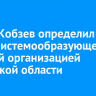 Игорь Кобзев определил ИЭСК системообразующей сетевой организацией Иркутской области