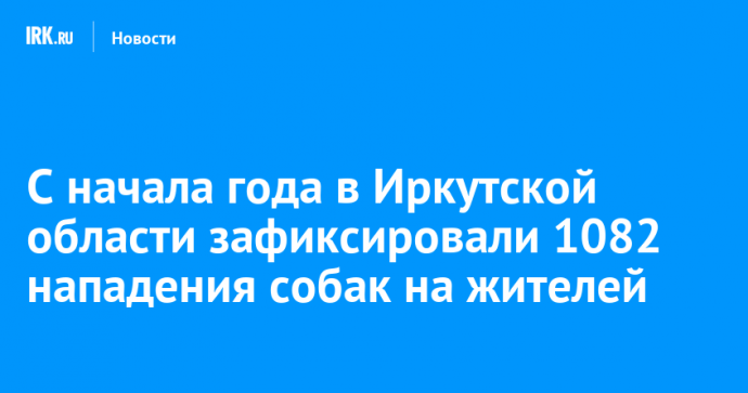 С начала года в Иркутской области зафиксировали 1082 нападения собак на жителей