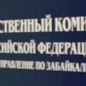 В Забайкалье погиб 5-летний ребёнок из приёмной семьи