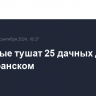 Пожарные тушат 25 дачных домов под Саранском