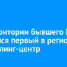 На территории бывшего БЦБК открылся первый в регионе ресайклинг-центр