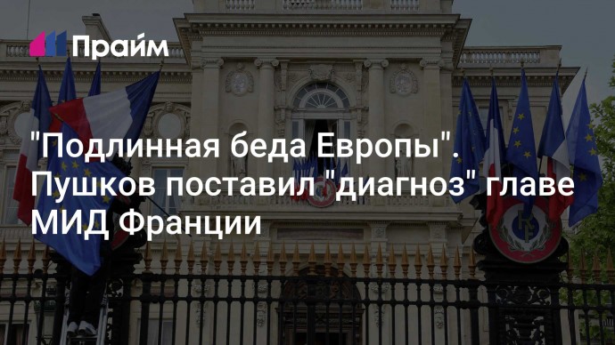 "Подлинная беда Европы". Пушков поставил "диагноз" главе МИД Франции