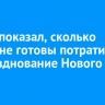 Опрос показал, сколько россияне готовы потратить на празднование Нового года