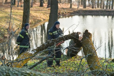 В Тульской области восстановлена работа всех высоковольтных линий электропередачи