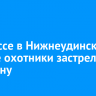 На трассе в Нижнеудинском районе охотники застрелили женщину