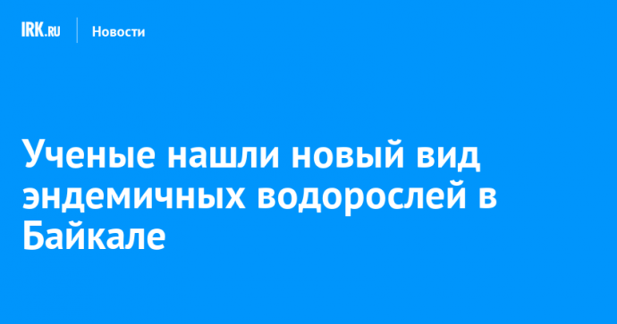 Ученые нашли новый вид эндемичных водорослей в Байкале