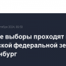 Местные выборы проходят в германской федеральной земле Бранденбург