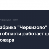 Птицефабрика "Черкизово" в Курской области работает штатно после пожара