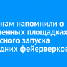 Иркутянам напомнили о разрешенных площадках для безопасного запуска новогодних фейерверков