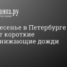 В воскресенье в Петербурге пройдут короткие жаропонижающие дожди