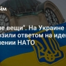 "Плохие вещи". На Украине пригрозили ответом на идею о вступлении НАТО