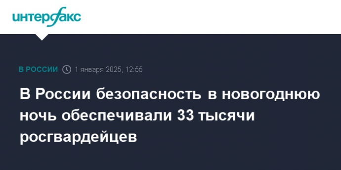 В России безопасность в новогоднюю ночь обеспечивали 33 тысячи росгвардейцев