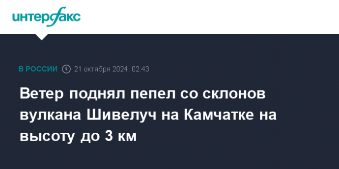 Ветер поднял пепел со склонов вулкана Шивелуч на Камчатке на высоту до 3 км