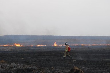 Россиян предупредили об угрожающей Краснодарскому краю опасности