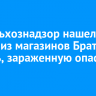 Россельхознадзор нашел в одном из магазинов Братска фасоль, зараженную опасным жуком