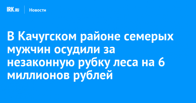 В Качугском районе семерых мужчин осудили за незаконную рубку леса на 6 миллионов рублей