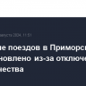 Движение поездов в Приморском крае приостановлено из-за отключения электричества