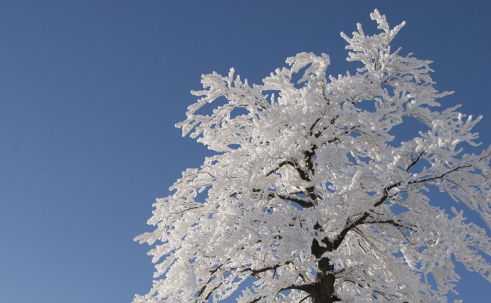 Облачно с прояснениями, на юге днём около 0 °C: погода на Сахалине и Курилах в воскресенье