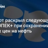 Эксперт раскрыл следующую меру ОПЕК+ при сохранении низких цен на нефть