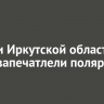 Жители Иркутской области вновь запечатлели полярное сияние