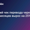 Средний чек перевода через СБП за 10 месяцев вырос на 25%