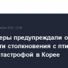 Диспетчеры предупреждали об опасности столкновения с птицами перед катастрофой в Корее