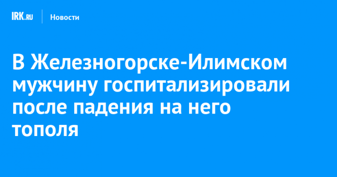 В Железногорске-Илимском мужчину госпитализировали после падения на него тополя