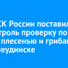 Глава СК России поставил на контроль проверку по дому с плесенью и грибами в Нижнеудинске