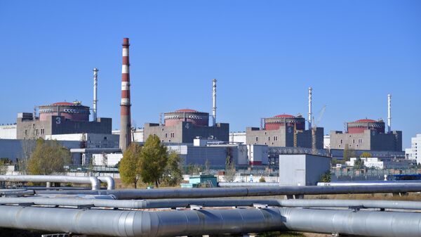 МАГАТЭ прокомментировало причины отключения электроснабжения на ЗАЭС