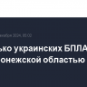 Несколько украинских БПЛА сбито над Воронежской областью