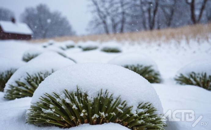 Небольшой снег и до +4°C: прогноз погоды на Сахалине и Курилах на 18 ноября