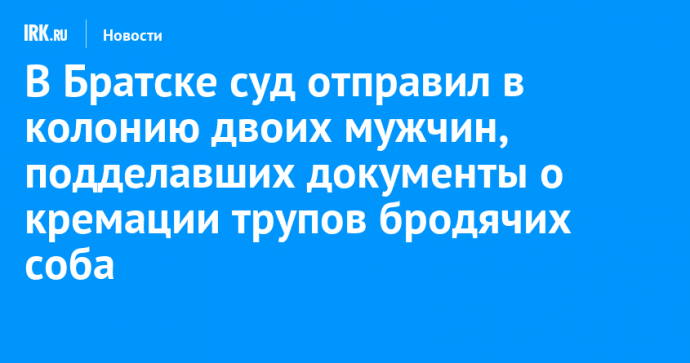 В Братске суд отправил в колонию двоих мужчин, подделавших документы о кремации трупов бродячих собак