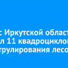 Минлес Иркутской области получил 11 квадроциклов для патрулирования лесов