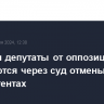 В Грузии депутаты от оппозиции добиваются через суд отмены закона об иноагентах