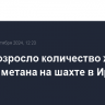 До 51 возросло количество жертв взрыва метана на шахте в Иране