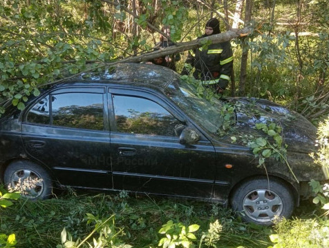 Hyundai вылетел в кювет в Юхновском районе