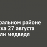 В центральном районе Киренска 27 августа заметили медведя