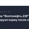 У танкера "Волгонефть-239" демонтируют корму после откачки мазута