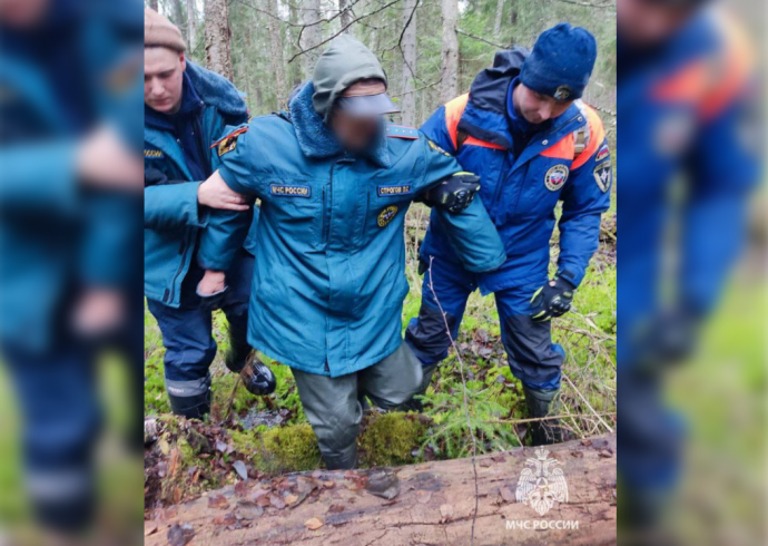 86-летний житель Новгородского района больше суток провёл в лесу