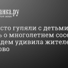 «Там часто гуляли с детьми». Новость о многолетнем соседстве с медведем удивила жителей Парголово