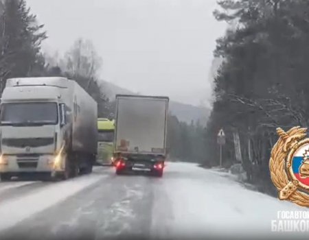 В Башкирии выпал снег