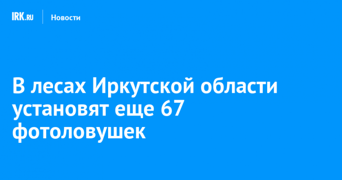 В лесах Иркутской области установят еще 67 фотоловушек